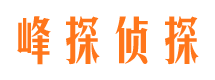 镇康侦探